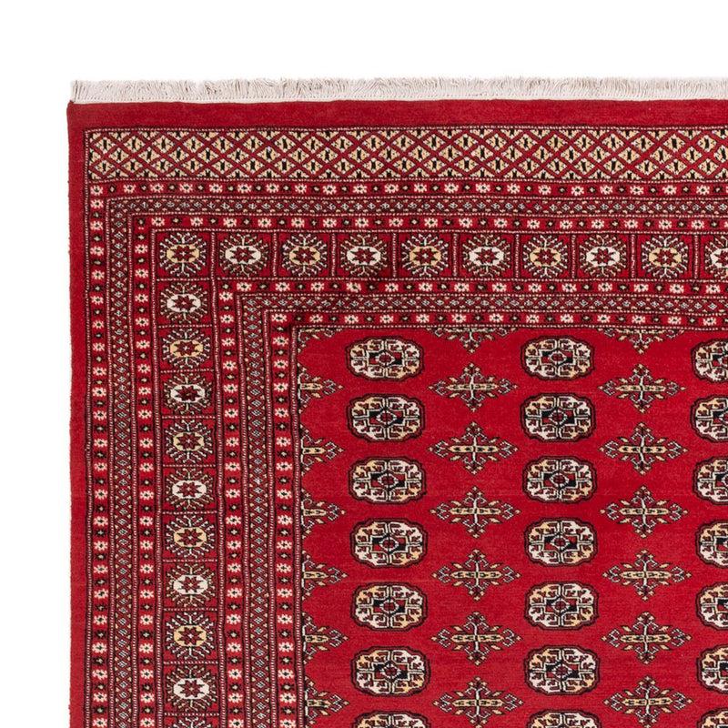 Alfombra afgana - Bukhara - 312 x 244 cm - rojo