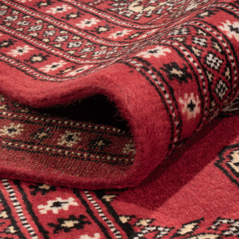 Alfombra afgana - Bukhara - 312 x 244 cm - rojo