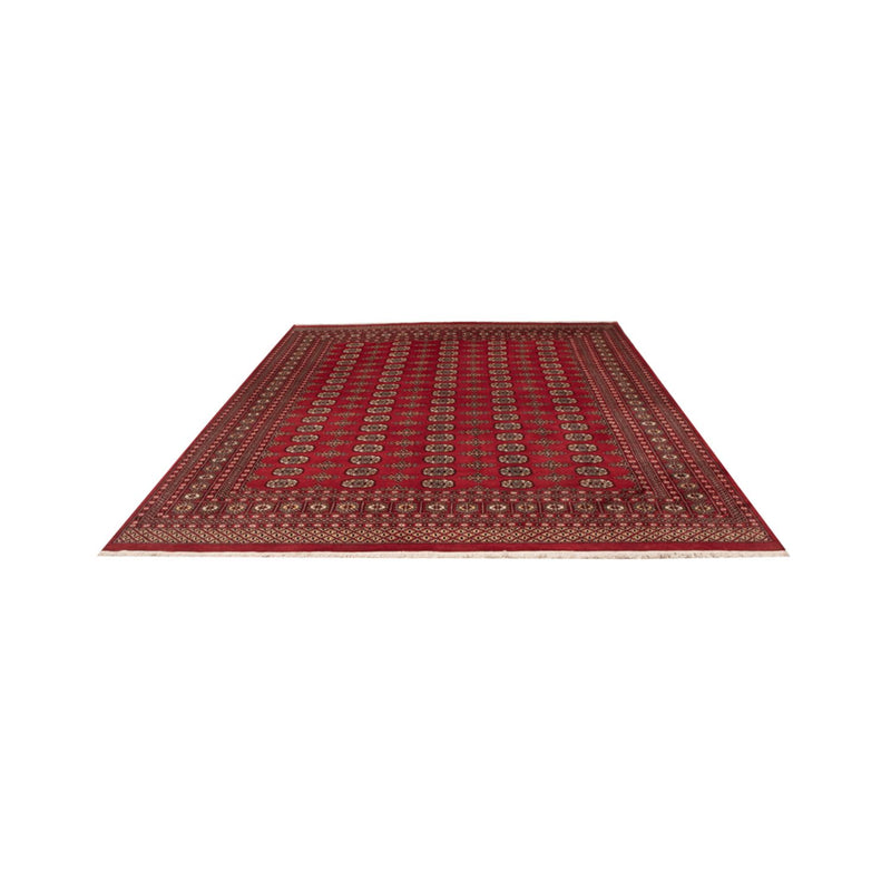 Alfombra afgana - Bukhara - 312 x 244 cm - rojo