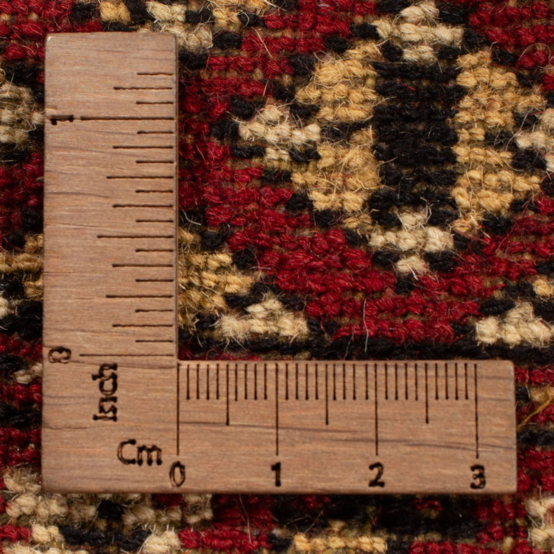 Alfombra afgana - Bukhara - 312 x 244 cm - rojo