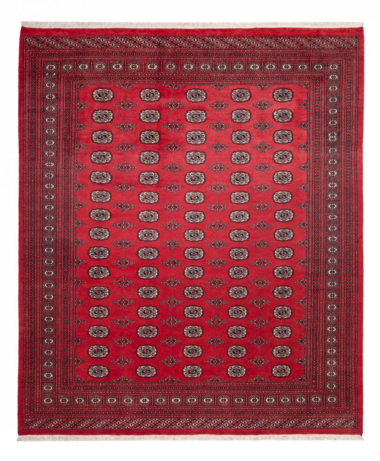 Alfombra afgana - Bukhara - 305 x 246 cm - rojo