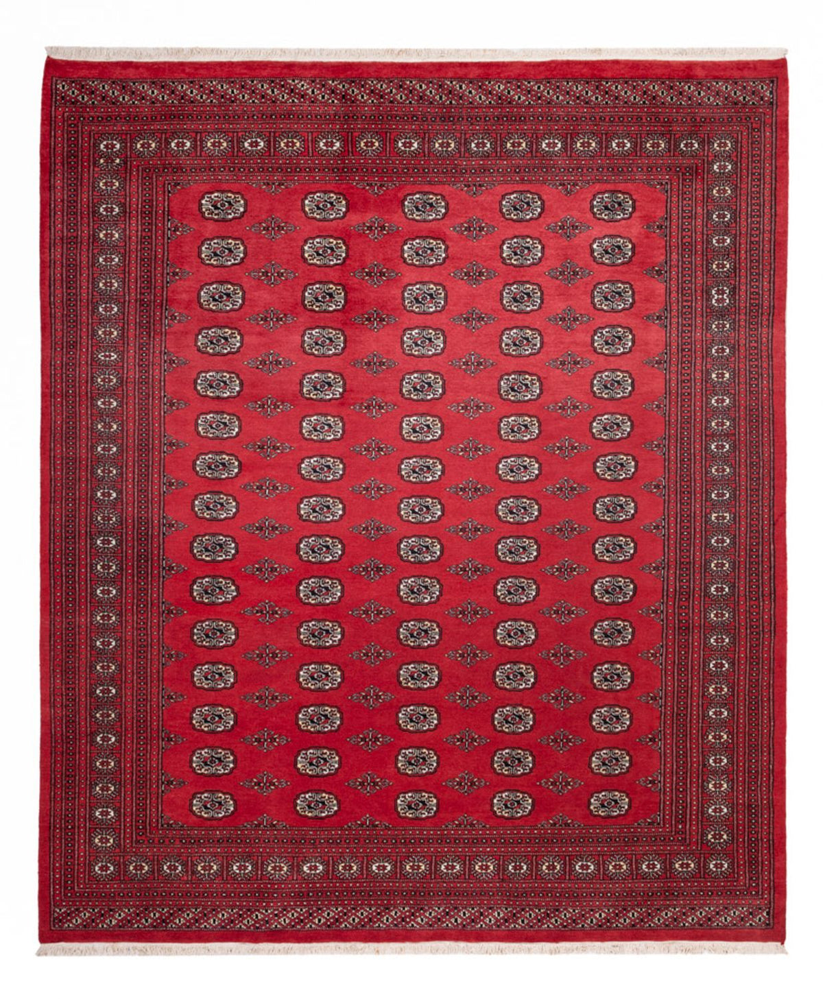 Alfombra afgana - Bukhara - 305 x 246 cm - rojo