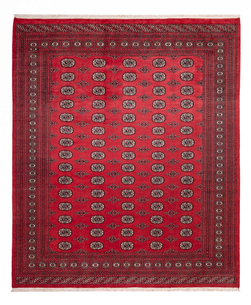Alfombra afgana - Bukhara - 305 x 246 cm - rojo