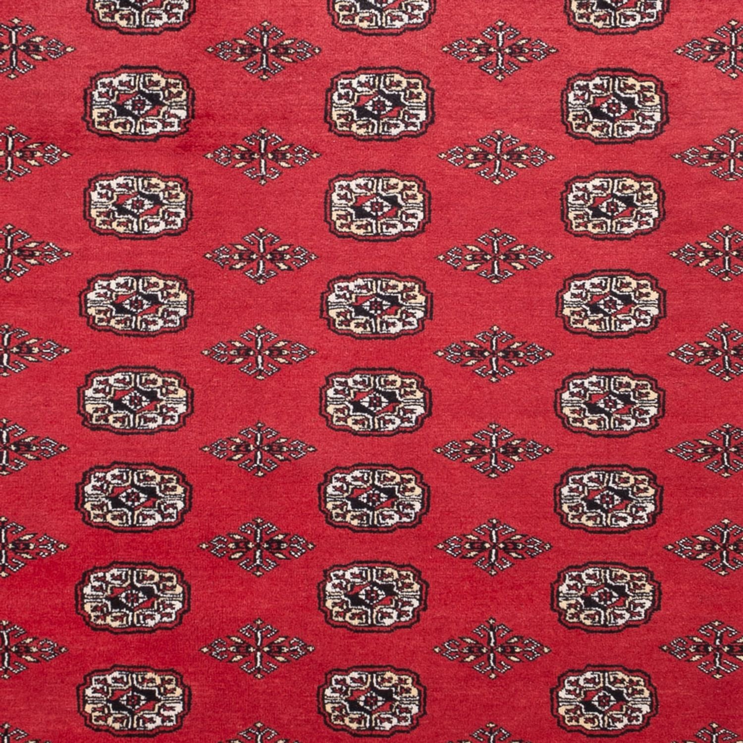 Alfombra afgana - Bukhara - 305 x 246 cm - rojo