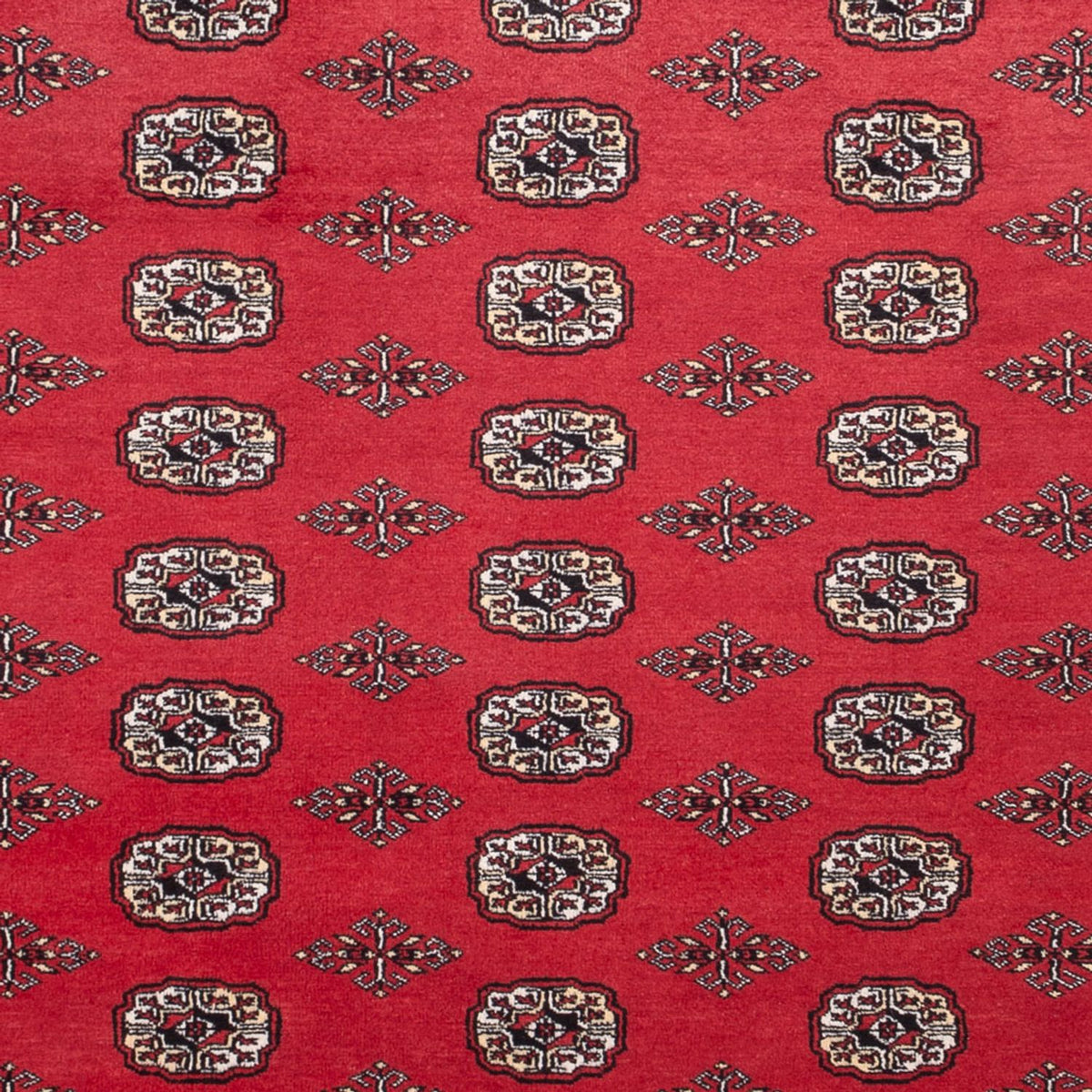 Alfombra afgana - Bukhara - 305 x 246 cm - rojo