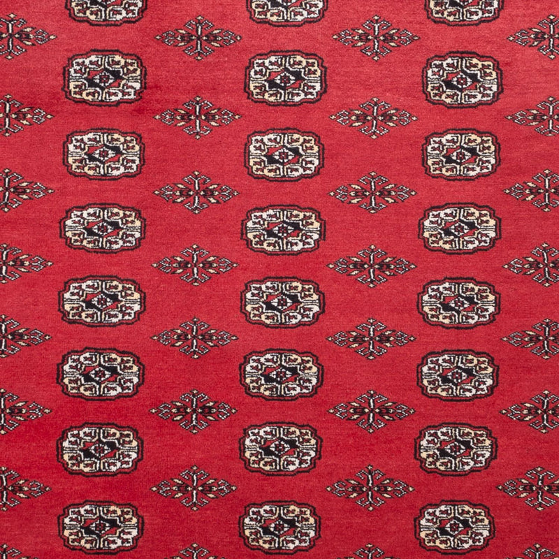 Alfombra afgana - Bukhara - 305 x 246 cm - rojo