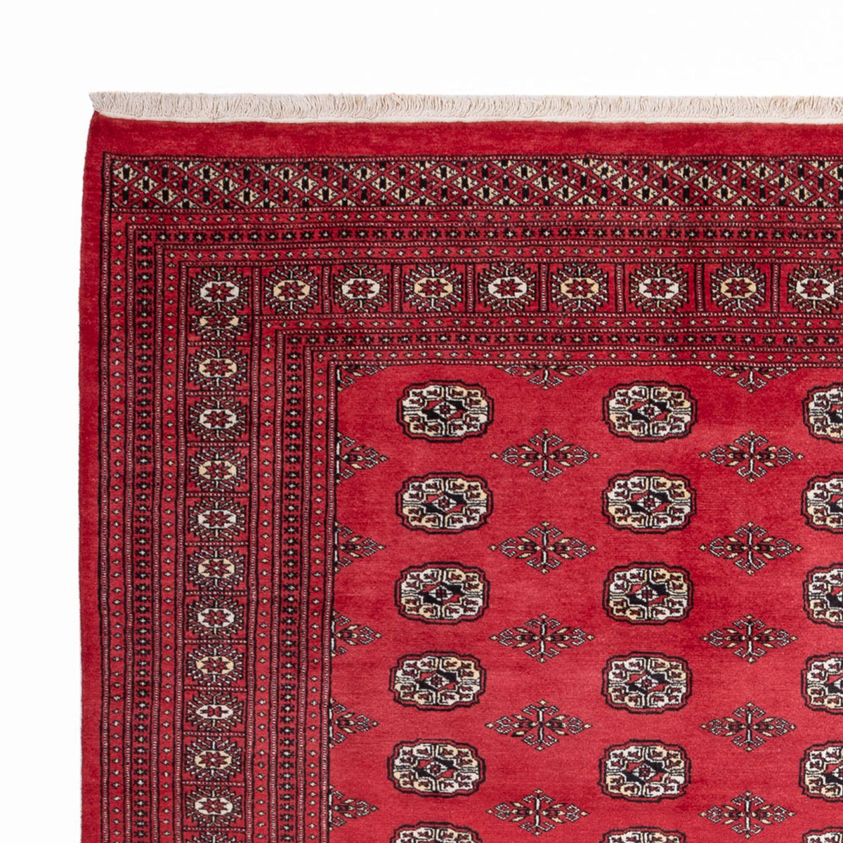 Alfombra afgana - Bukhara - 305 x 246 cm - rojo