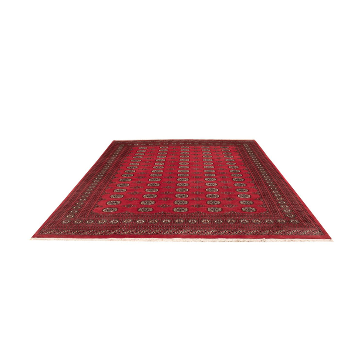 Alfombra afgana - Bukhara - 305 x 246 cm - rojo