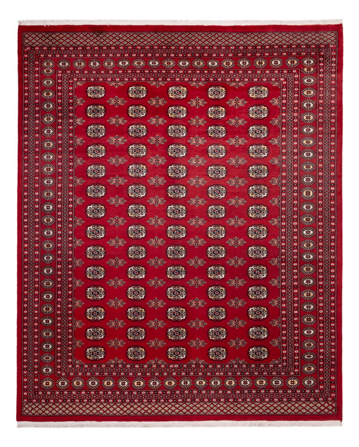 Alfombra afgana - Bukhara - 301 x 245 cm - rojo