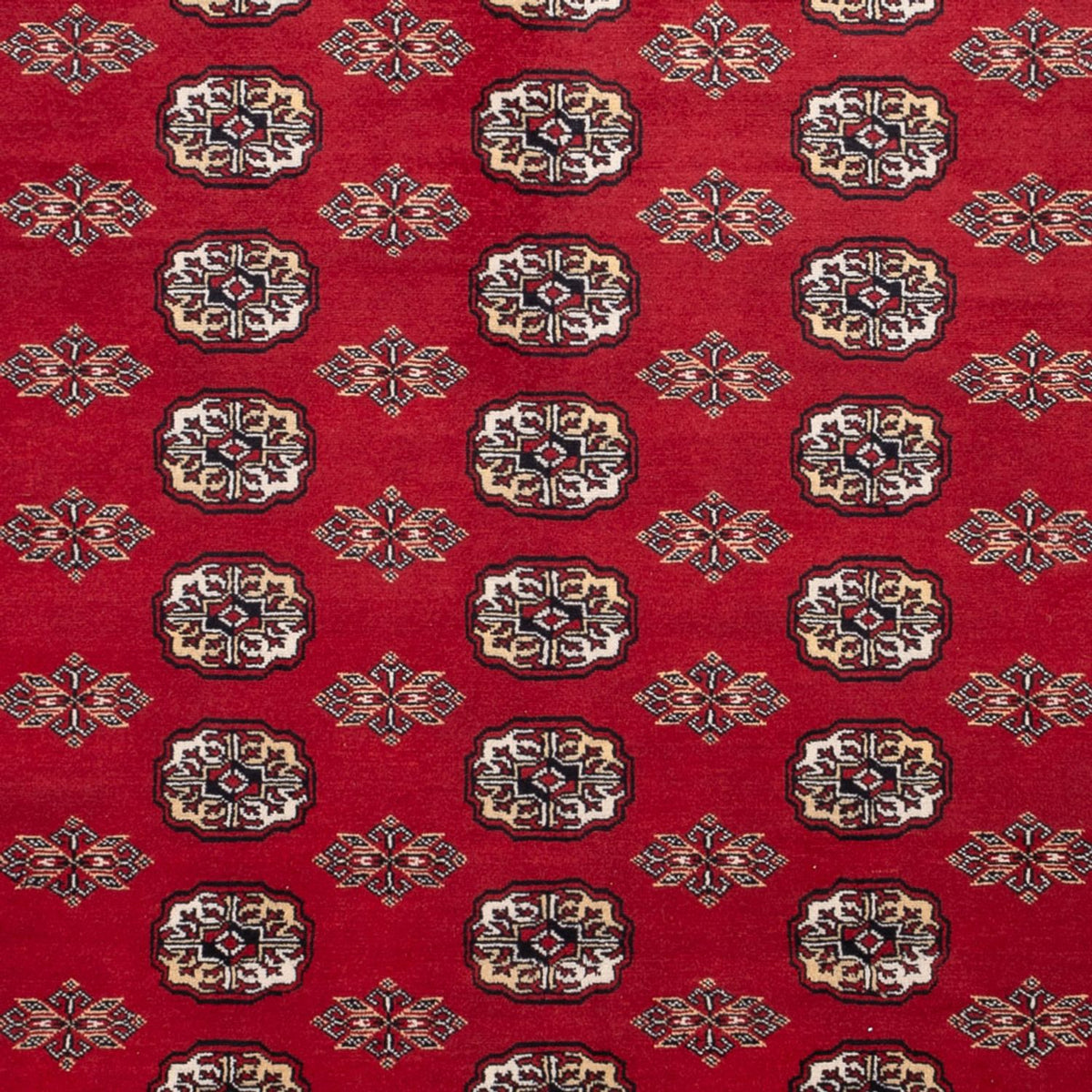 Alfombra afgana - Bukhara - 301 x 245 cm - rojo