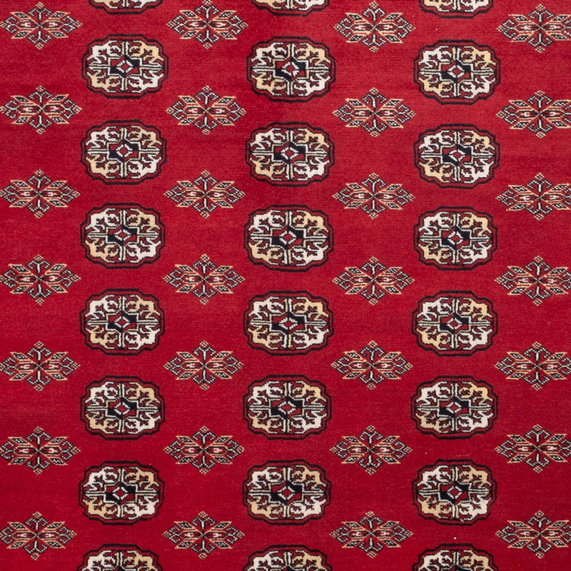 Alfombra afgana - Bukhara - 301 x 245 cm - rojo