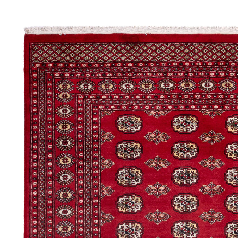 Alfombra afgana - Bukhara - 301 x 245 cm - rojo