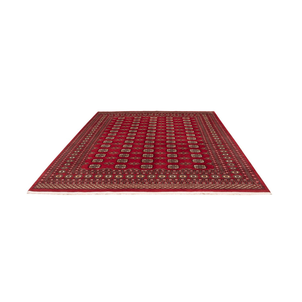 Alfombra afgana - Bukhara - 301 x 245 cm - rojo
