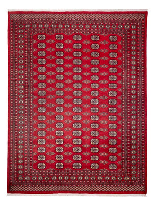 Alfombra afgana - Bukhara - 314 x 243 cm - rojo