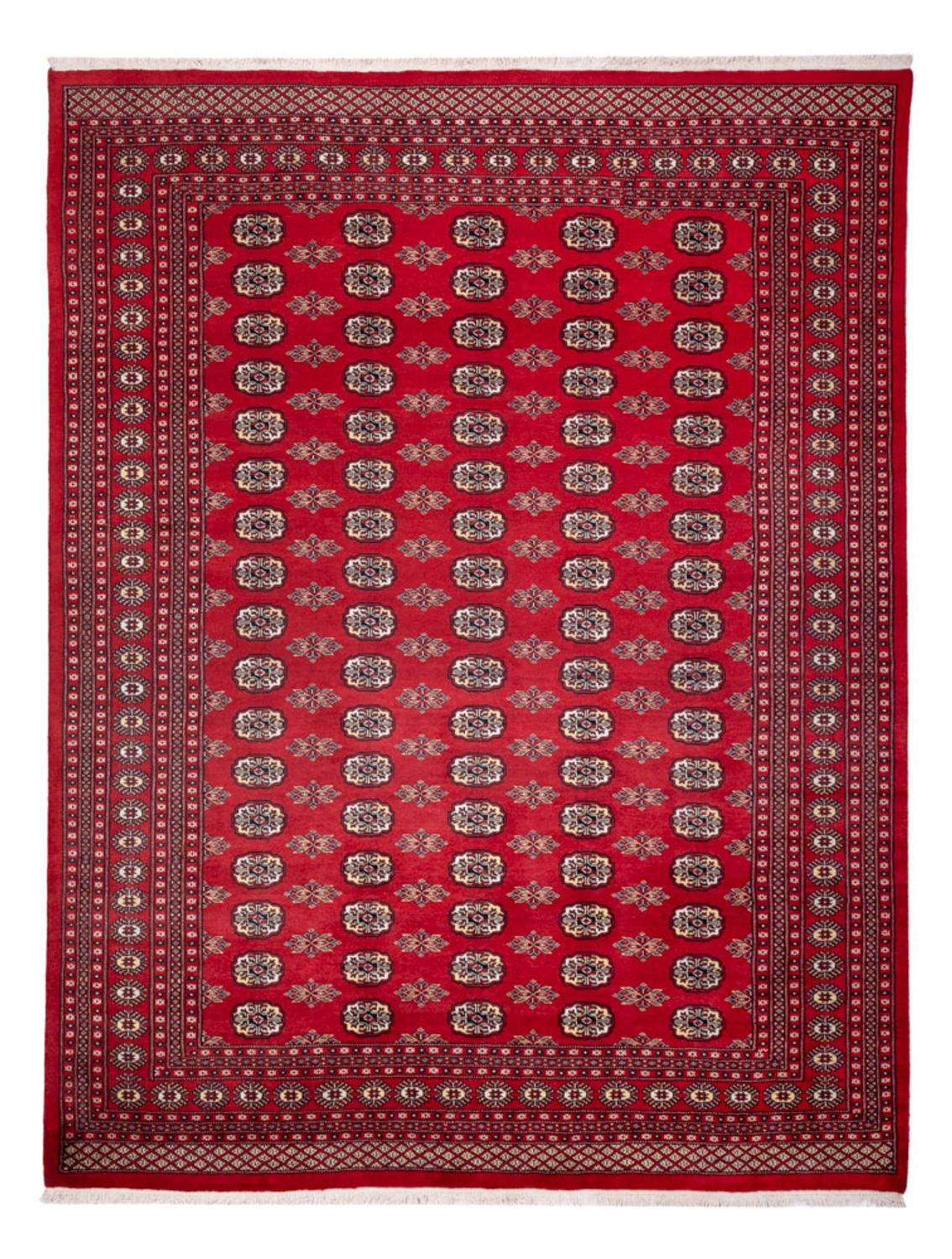 Alfombra afgana - Bukhara - 314 x 243 cm - rojo