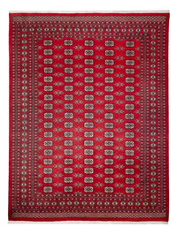 Alfombra afgana - Bukhara - 314 x 243 cm - rojo