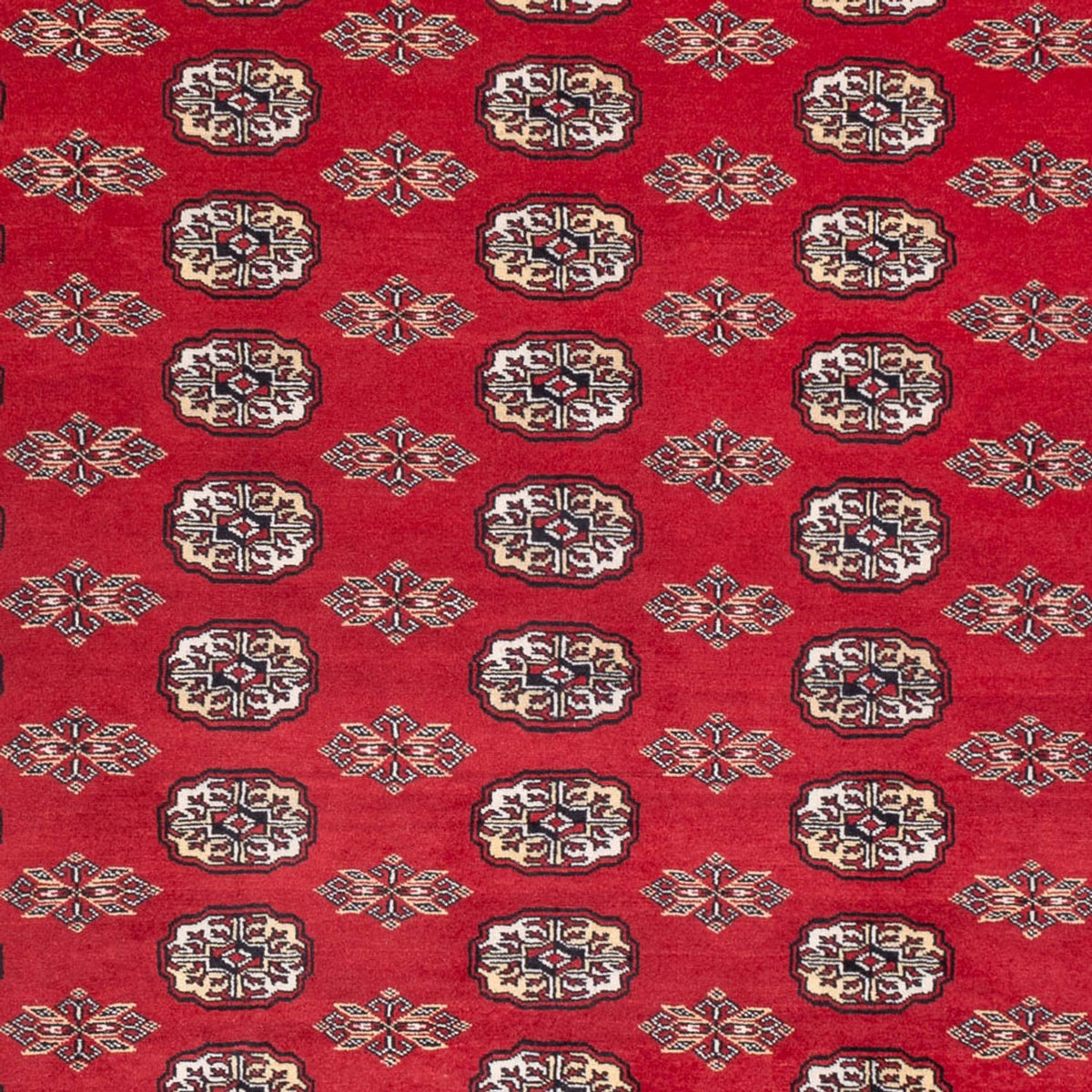 Alfombra afgana - Bukhara - 314 x 243 cm - rojo