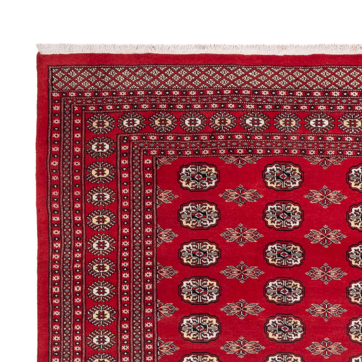 Alfombra afgana - Bukhara - 314 x 243 cm - rojo