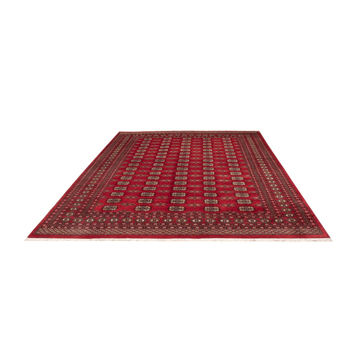 Alfombra afgana - Bukhara - 314 x 243 cm - rojo