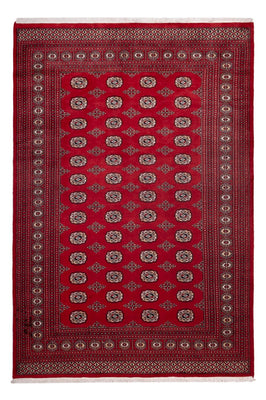 Alfombra afgana - Bukhara - 290 x 200 cm - rojo