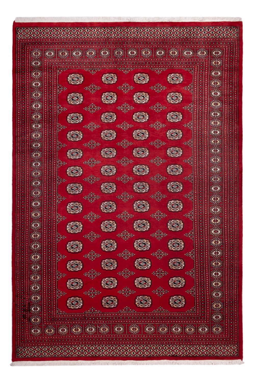 Alfombra afgana - Bukhara - 290 x 200 cm - rojo