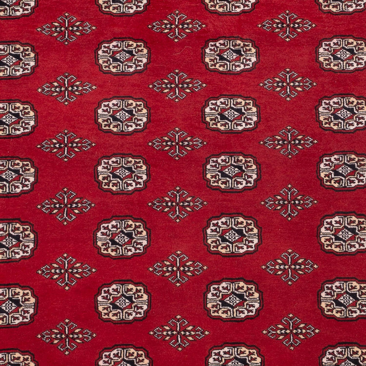 Alfombra afgana - Bukhara - 290 x 200 cm - rojo