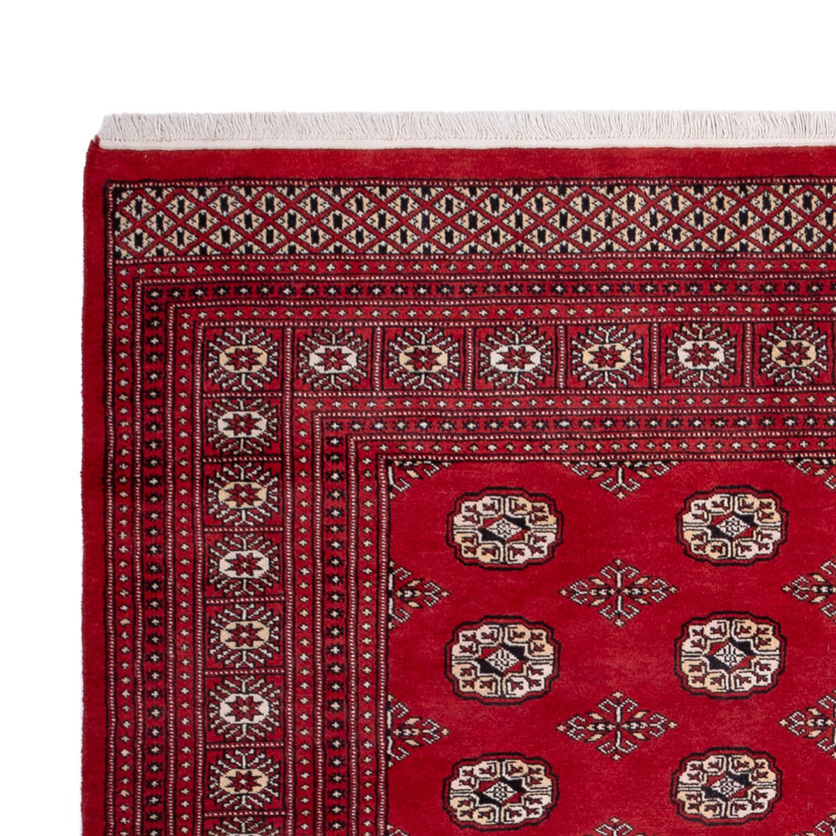 Bukhara Alfombra 200x290cm - Alfombra oriental