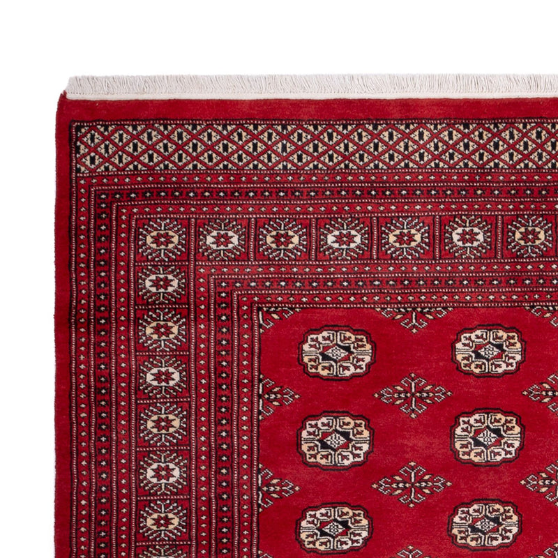 Alfombra afgana - Bukhara - 290 x 200 cm - rojo