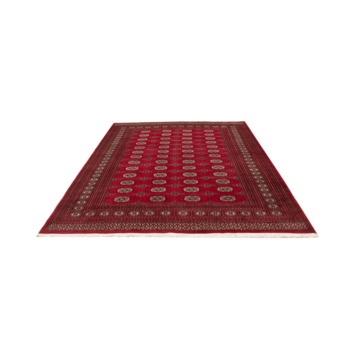 Alfombra afgana - Bukhara - 290 x 200 cm - rojo