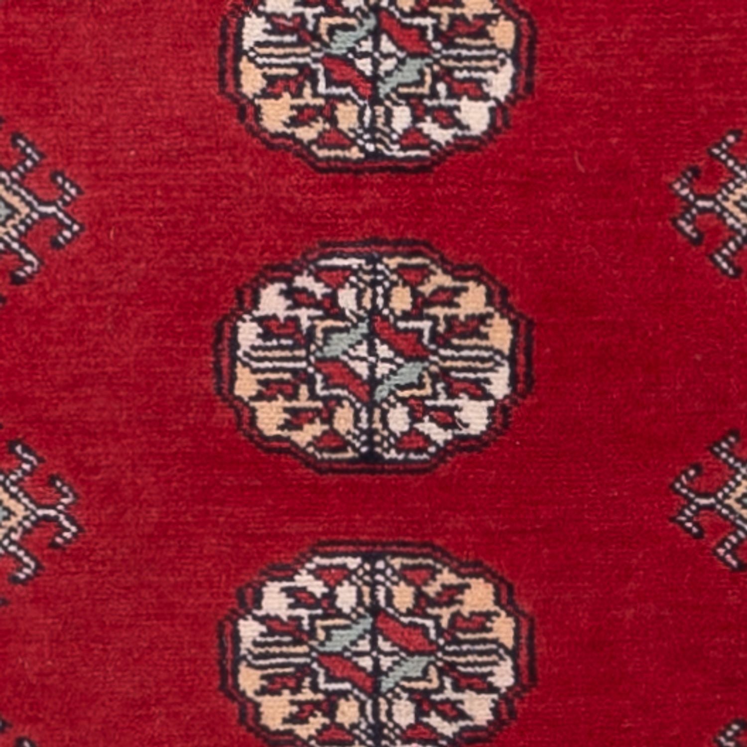 Alfombra de pasillo Alfombra Pakistani - 255 x 77 cm - rojo