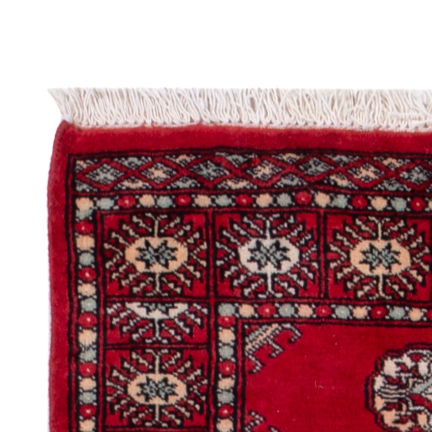 Alfombra de pasillo Alfombra Pakistani - 255 x 77 cm - rojo