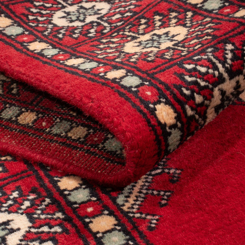 Alfombra de pasillo Alfombra Pakistani - 255 x 77 cm - rojo