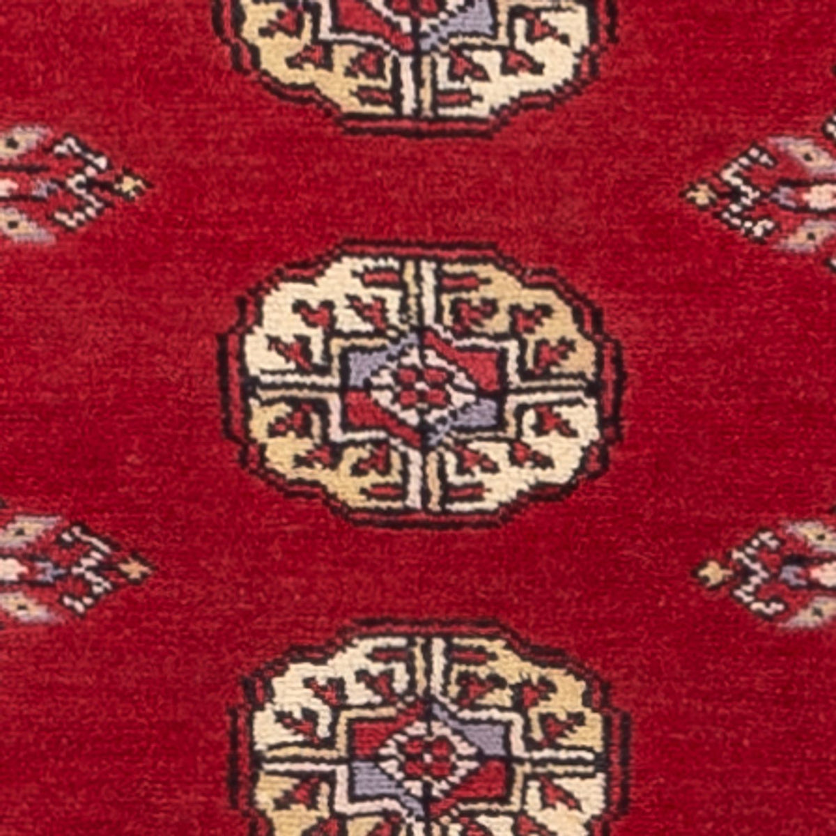 Alfombra de pasillo Alfombra Pakistani - 246 x 77 cm - rojo