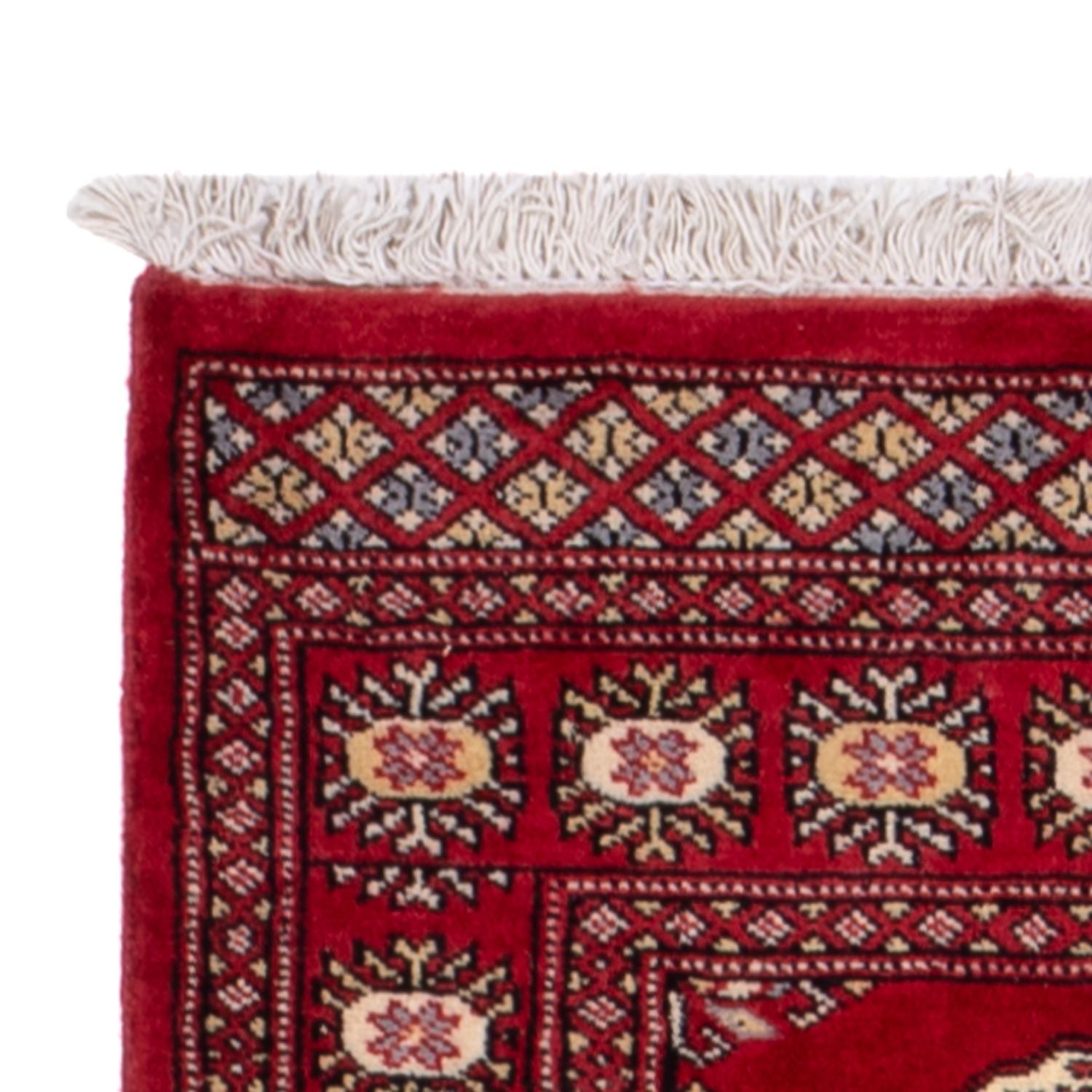 Alfombra de pasillo Alfombra Pakistani - 246 x 77 cm - rojo