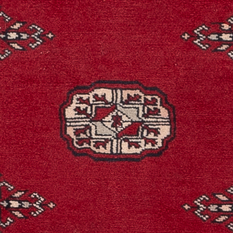 Alfombra de pasillo Alfombra Pakistani - 257 x 75 cm - rojo