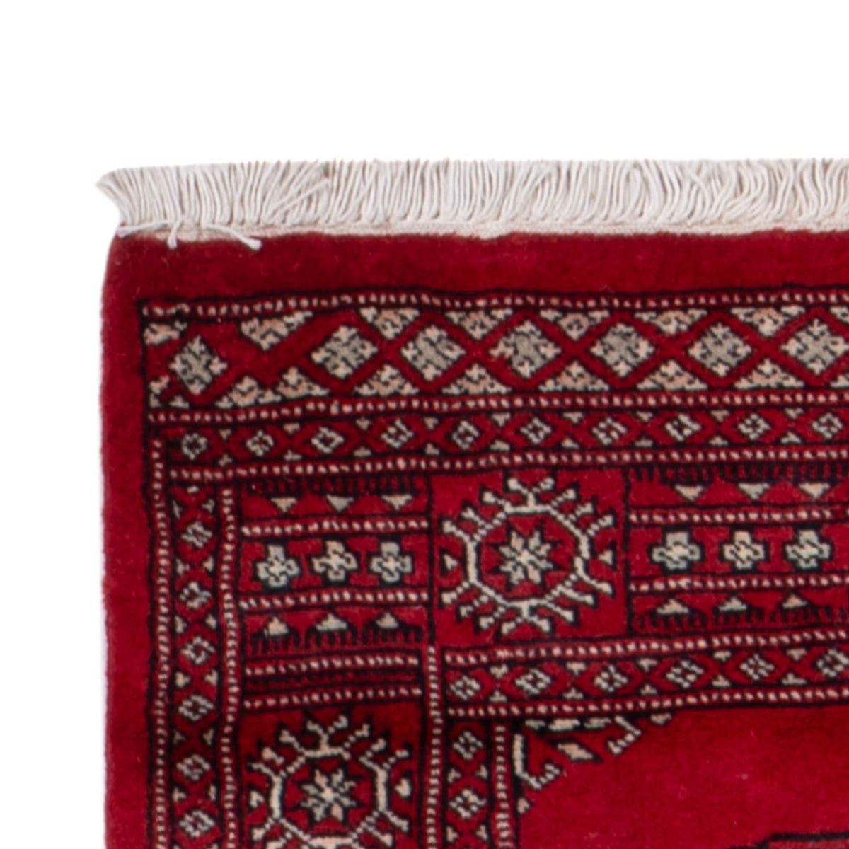 Alfombra Pakistani 75x257cm - Alfombra oriental