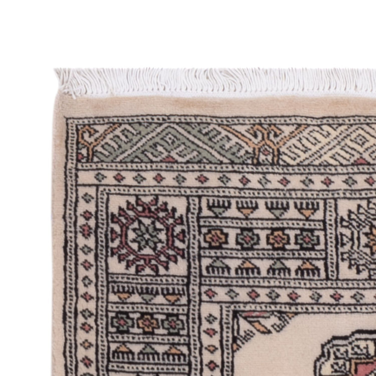 Alfombra de pasillo Alfombra Pakistani - 254 x 77 cm - beige