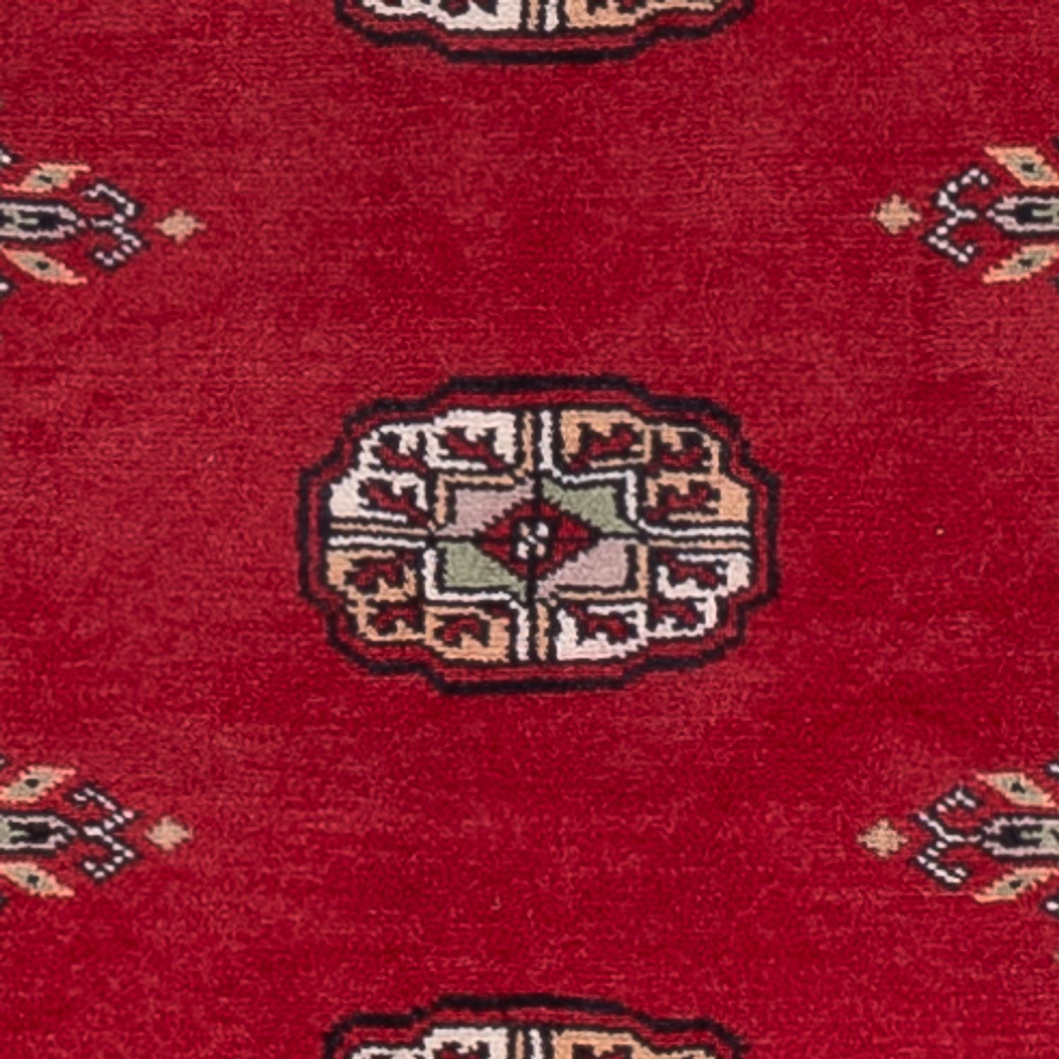 Alfombra de pasillo Alfombra Pakistani - 242 x 76 cm - rojo