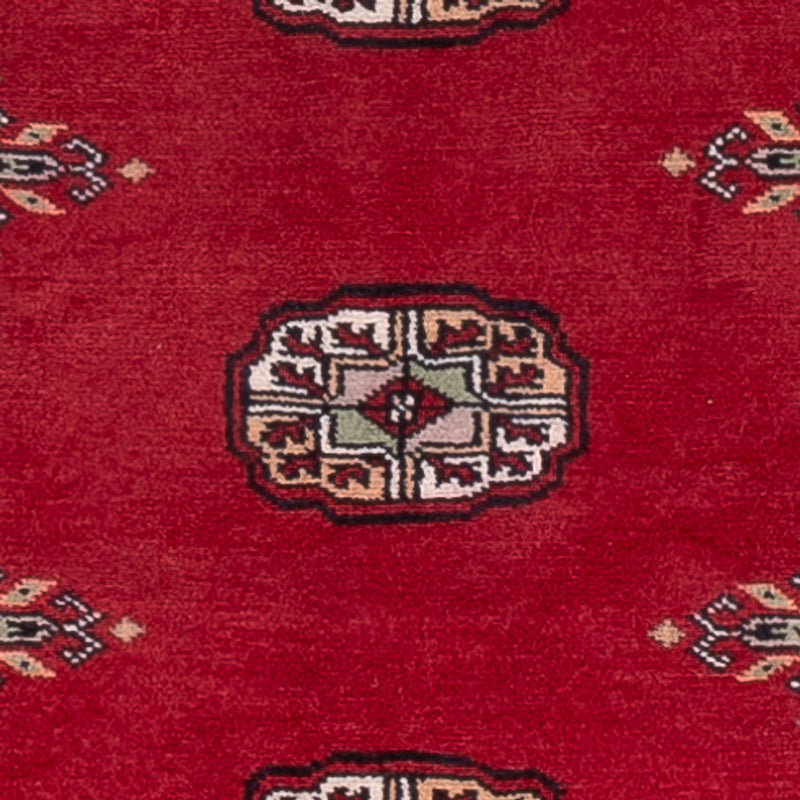 Alfombra de pasillo Alfombra Pakistani - 242 x 76 cm - rojo