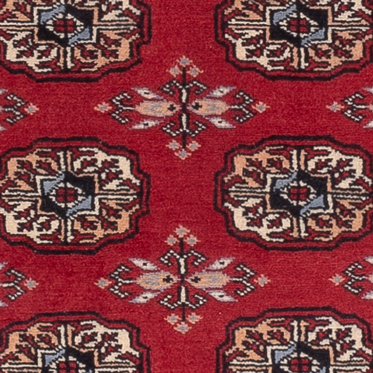 Alfombra de pasillo Alfombra Pakistani - 224 x 80 cm - rojo