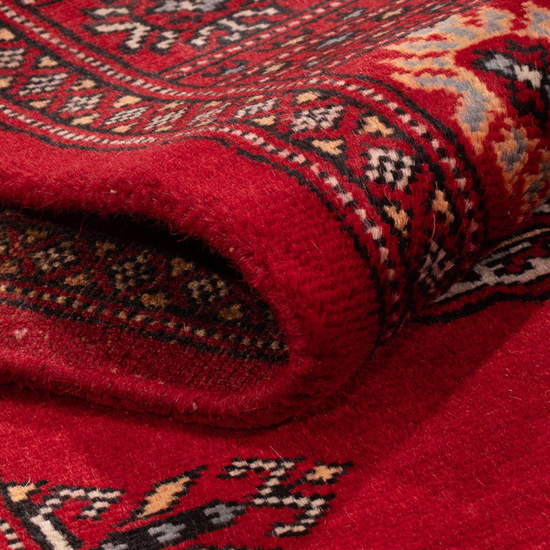 Alfombra de pasillo Alfombra Pakistani - 259 x 80 cm - rojo