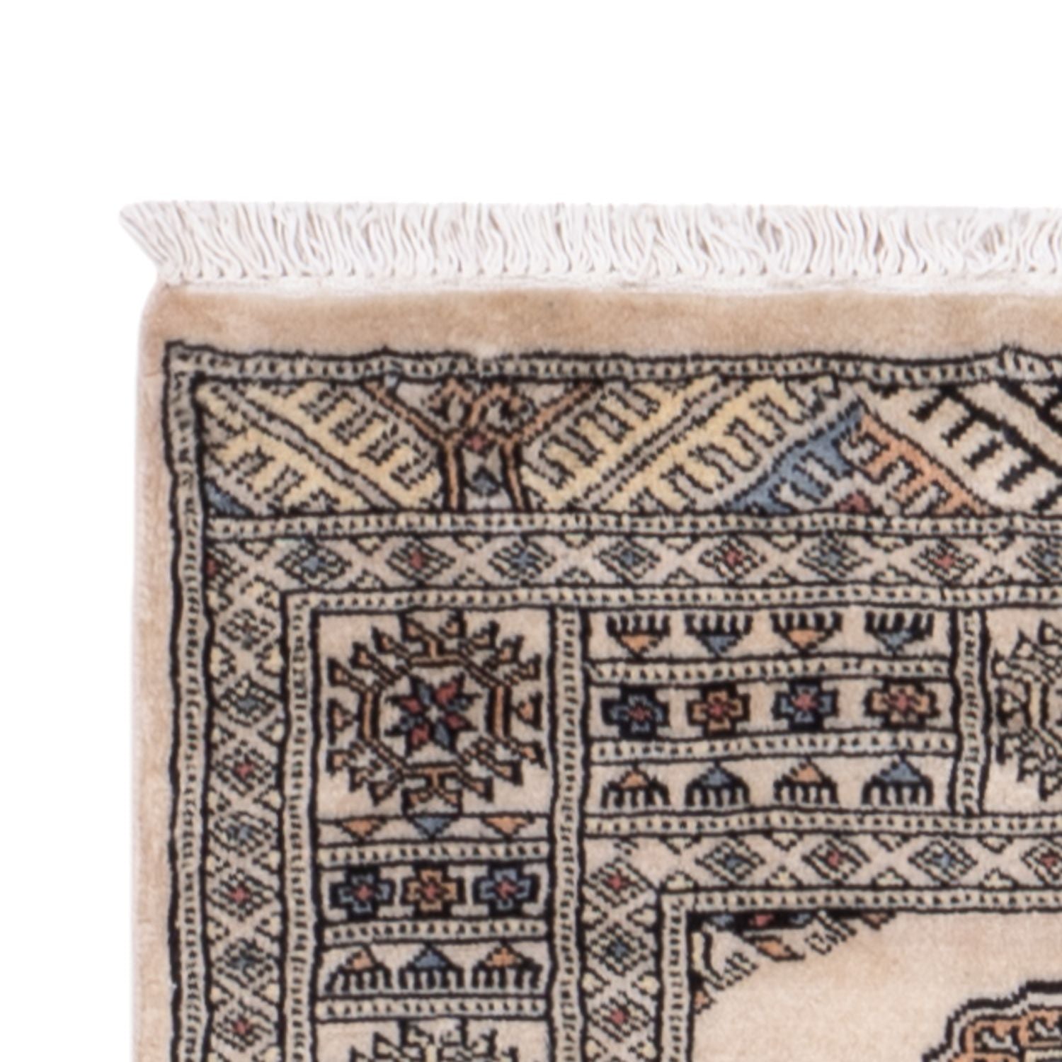 Alfombra de pasillo Alfombra Pakistani - 244 x 77 cm - beige