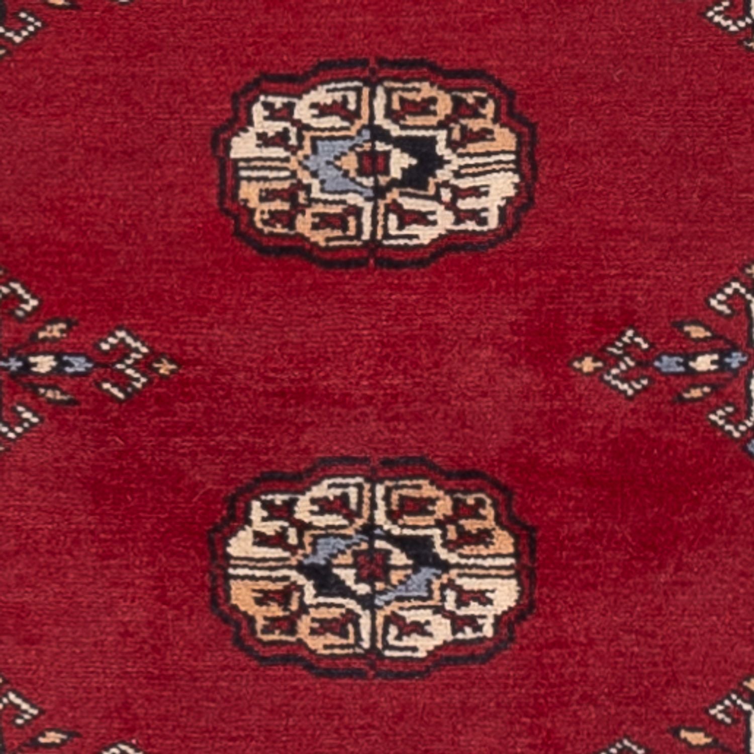 Alfombra de pasillo Alfombra Pakistani - 241 x 77 cm - rojo
