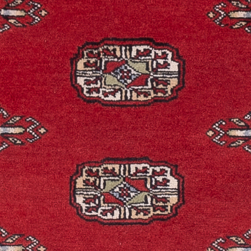 Alfombra de pasillo Alfombra Pakistani - 236 x 77 cm - rojo