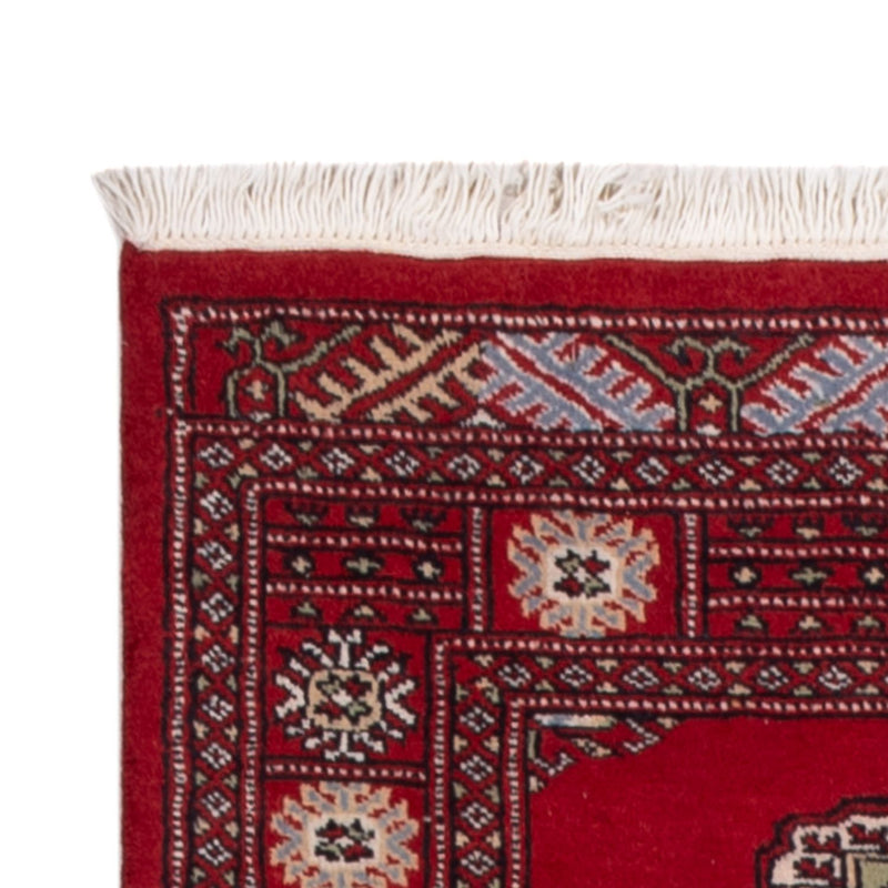 Alfombra de pasillo Alfombra Pakistani - 236 x 77 cm - rojo