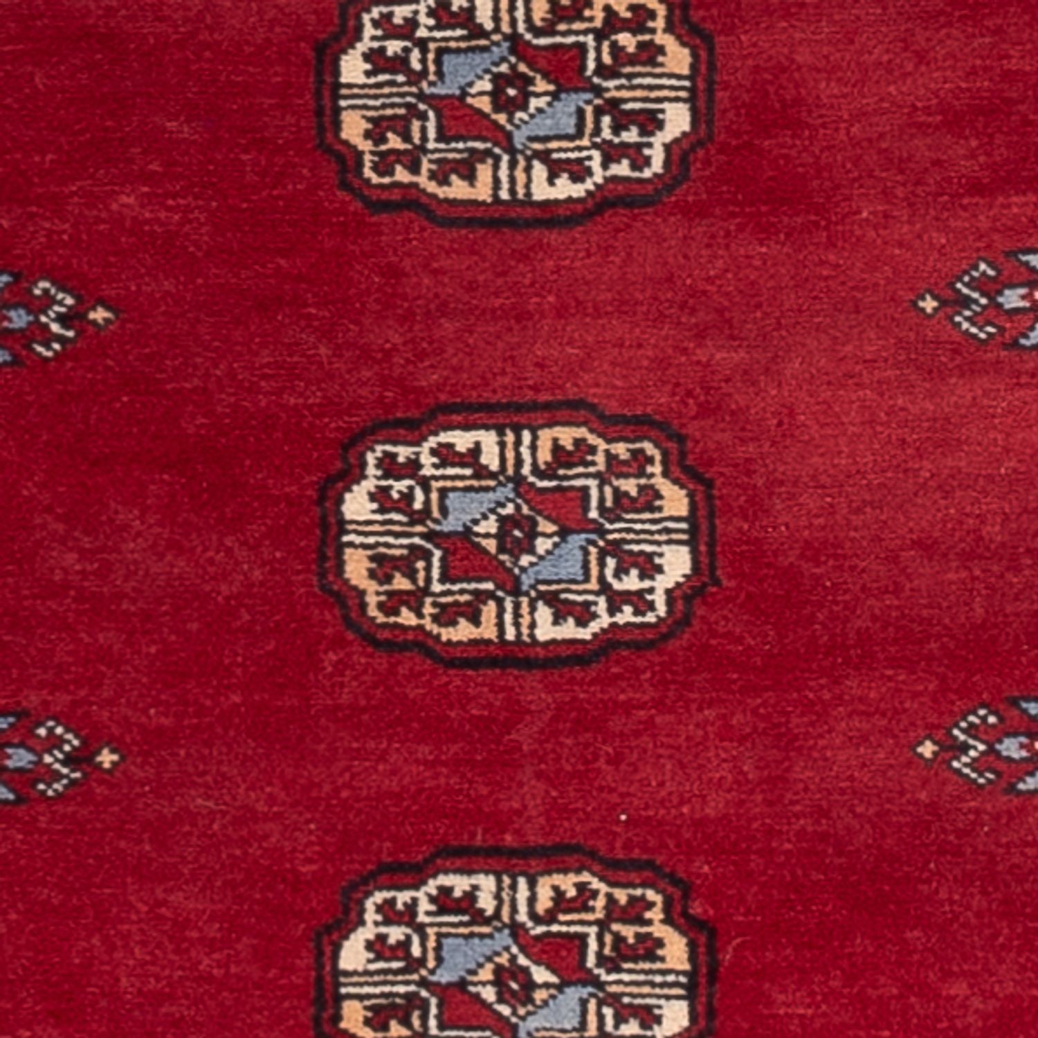 Alfombra de pasillo Alfombra Pakistani - 262 x 77 cm - rojo