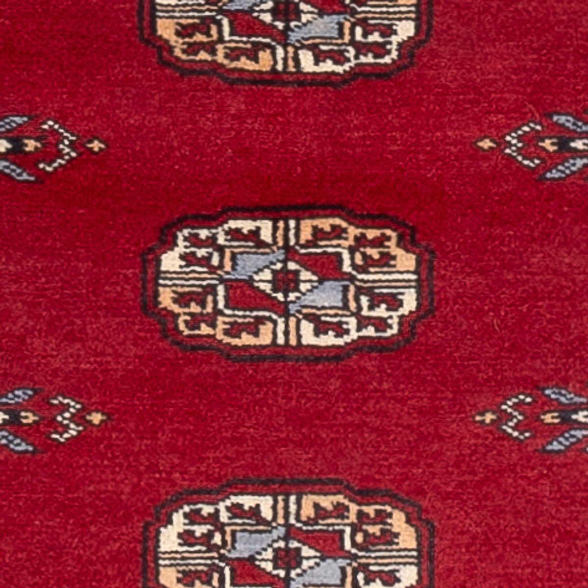 Alfombra de pasillo Alfombra Pakistani - 239 x 79 cm - rojo