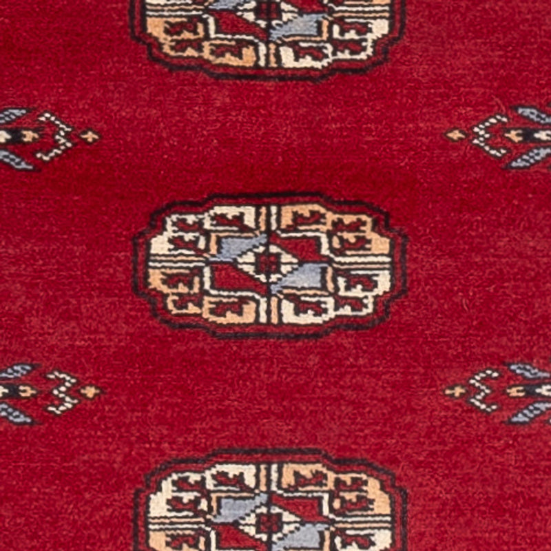 Alfombra de pasillo Alfombra Pakistani - 239 x 79 cm - rojo