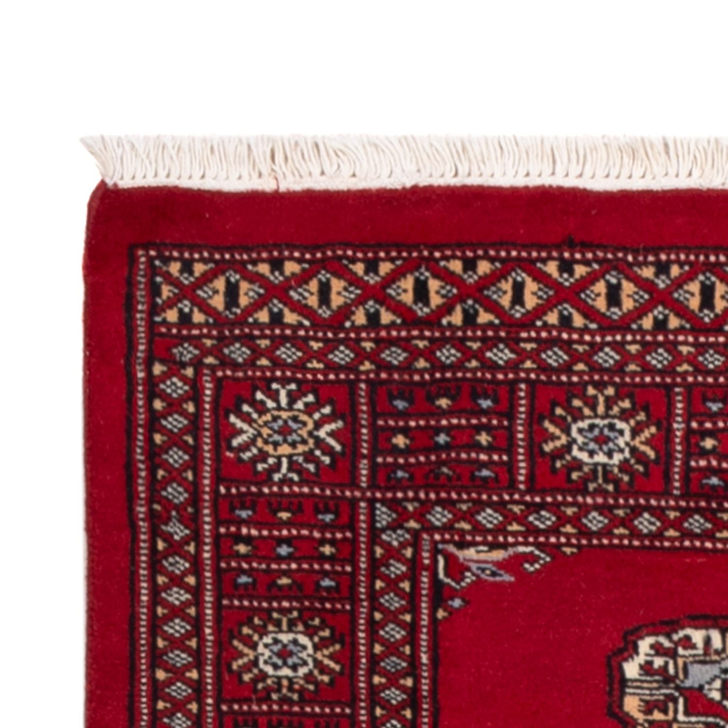 Alfombra de pasillo Alfombra Pakistani - 239 x 79 cm - rojo