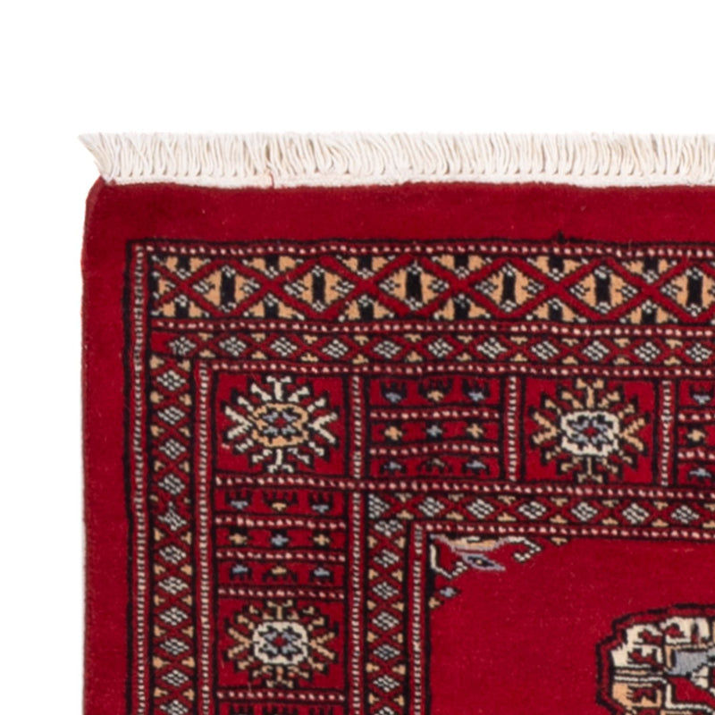 Alfombra de pasillo Alfombra Pakistani - 239 x 79 cm - rojo